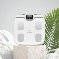 Body Fat Scale with Handle